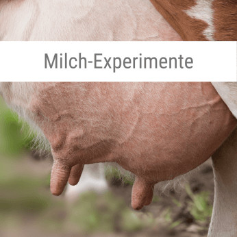 Milch-Experimente-Anleitung