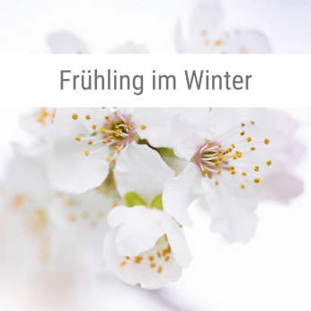 Frühling-im-Winter-Anleitung