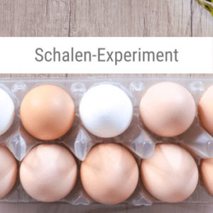 Schalen-Experiment-Anleitung