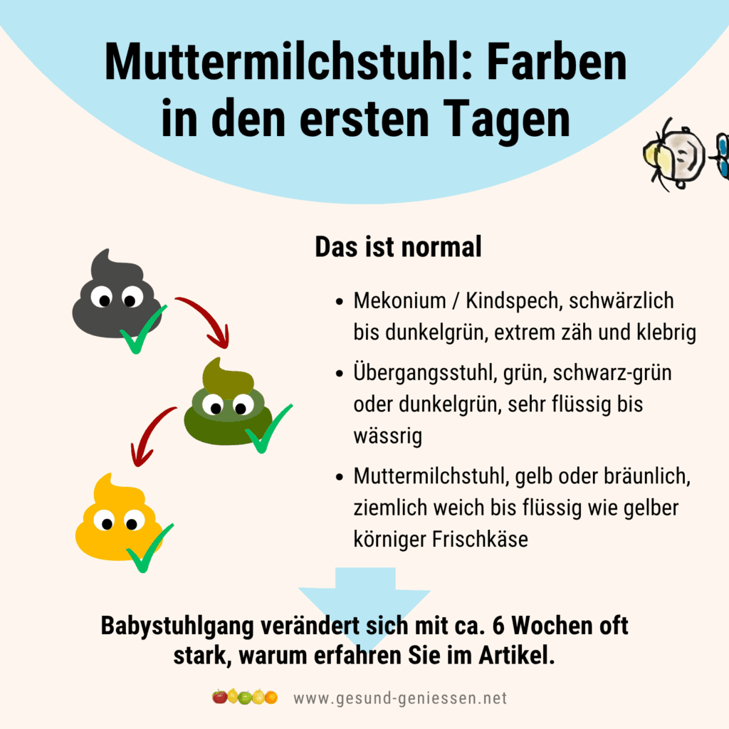 Infografik zur Entwicklung des Muttermilchstuhls von Mekonium bis zum gelben Milchstuhl.