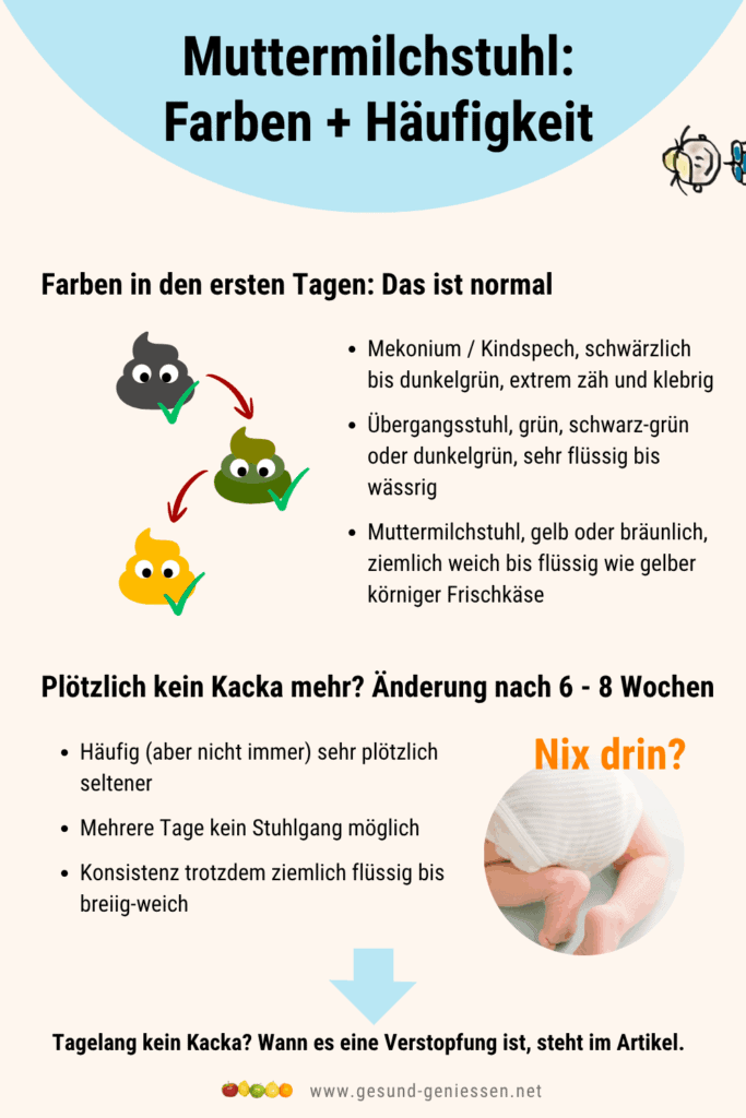 Infografik und Zusammenfassung zur Farbe und Häufigkeit von Muttermilchstuhl ab Geburt.
